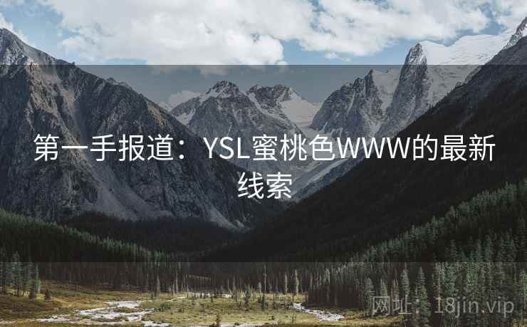 第一手报道：YSL蜜桃色WWW的最新线索